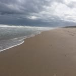 Tom Maroney - @myrush - Instagram