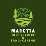 Tom Marotta - @marottatree860 - Instagram