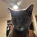 Tom Marston - Facebook