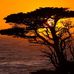 Pure Light Images - Tom Martens Photography - Facebook