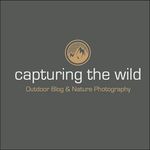 Tom Martens - @capturing_the_wild - Instagram
