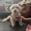Tom Martins - @tom.martins37 - TikTok