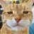 Tom Masters - @tom.masters - TikTok