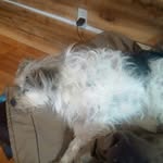Tom  Masterson - @mtnmntom1 - Instagram