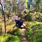 Tom Masterson - @turtlelikeythebikey - Instagram