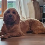 Tom Maynard - @tommaynardiom - Instagram