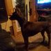 Thomas Mcarthur - Facebook