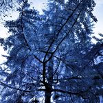 Tom McArthur - @mcarthurphoto - Instagram