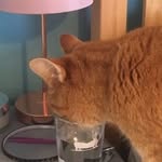 @tom.mcauley_69 - Instagram