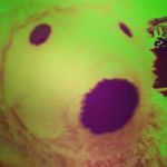 tom mccann - @tom_mccainn - Instagram