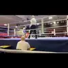 Tom mccarthy - @tommccarthy52 - TikTok