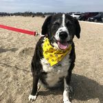 Thomas McCay - @ct.bvb - Instagram