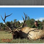 Tom McCracken - @mccracken1273 - Instagram