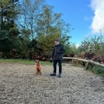 Tom Mcfadden - @tmcfadds - Instagram