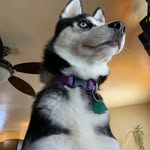 Tom McFadden - @tom.mcfadden.7 - Instagram