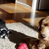 tommcfadden487 - @tommcfadden487 - TikTok
