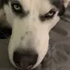 tommcfadden - @tommcfadden - TikTok