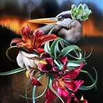 @tom._.mchenry - Instagram