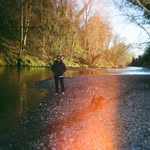 Tom McHenry - @tom.mchenry - Instagram