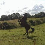 Tom McHugh - @tom.mchugh.714 - Instagram
