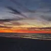 tommcmurray248 - @tommcmurray248 - TikTok