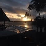 tom mcpherson - @tom_mcpherson_ - Instagram