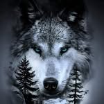 Tom McPherson - @thomas.mcpherson.56 - Instagram