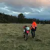 Tom McPherson - @tom.the.grom - TikTok