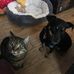 Tom McQuade - Facebook