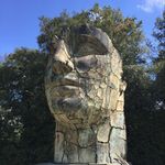Tom McQuade - @tomcranemcq - Instagram