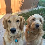 Tom Menning - @tntmenning - Instagram