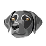Tom Merrill - @merrilldesigns - Instagram