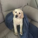 Tommerson - @_tms13_ - Instagram