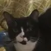 Tom Mick - @tom.mick - TikTok