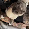 Nguyen - @mitchammamtom3 - TikTok