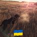 Tom Moeller - Facebook