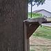 Tom Moeller - Facebook