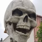 Tom Molnar - @tom.molnar.5 - Instagram