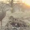 TomMolnar5485 - @tommolnar5485 - TikTok