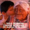 no pues waooo - @intommonti - TikTok