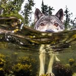 Tom Montigel - @tom_monti_ - Instagram