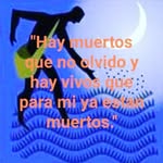 Tom Montilla - @tom_montilla - Instagram