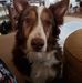 Tom Morse - Facebook