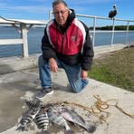 Tom Mosier - Facebook
