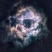 Thomas Mosley - Facebook