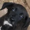 tommulder736 - @tommulder736 - TikTok