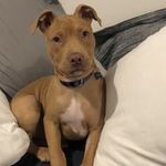 @tom_mullins_newy - Instagram