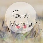Tom Murry - @tommurryji436 - Instagram