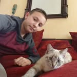 tom nalepa - @nalepatom - Instagram