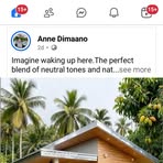 Tomb Nalex - Facebook